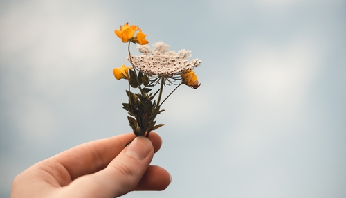 Isaac Mehegan / unsplash,com