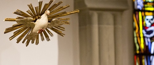 Kath Kirche Vorarlberg / Mathis